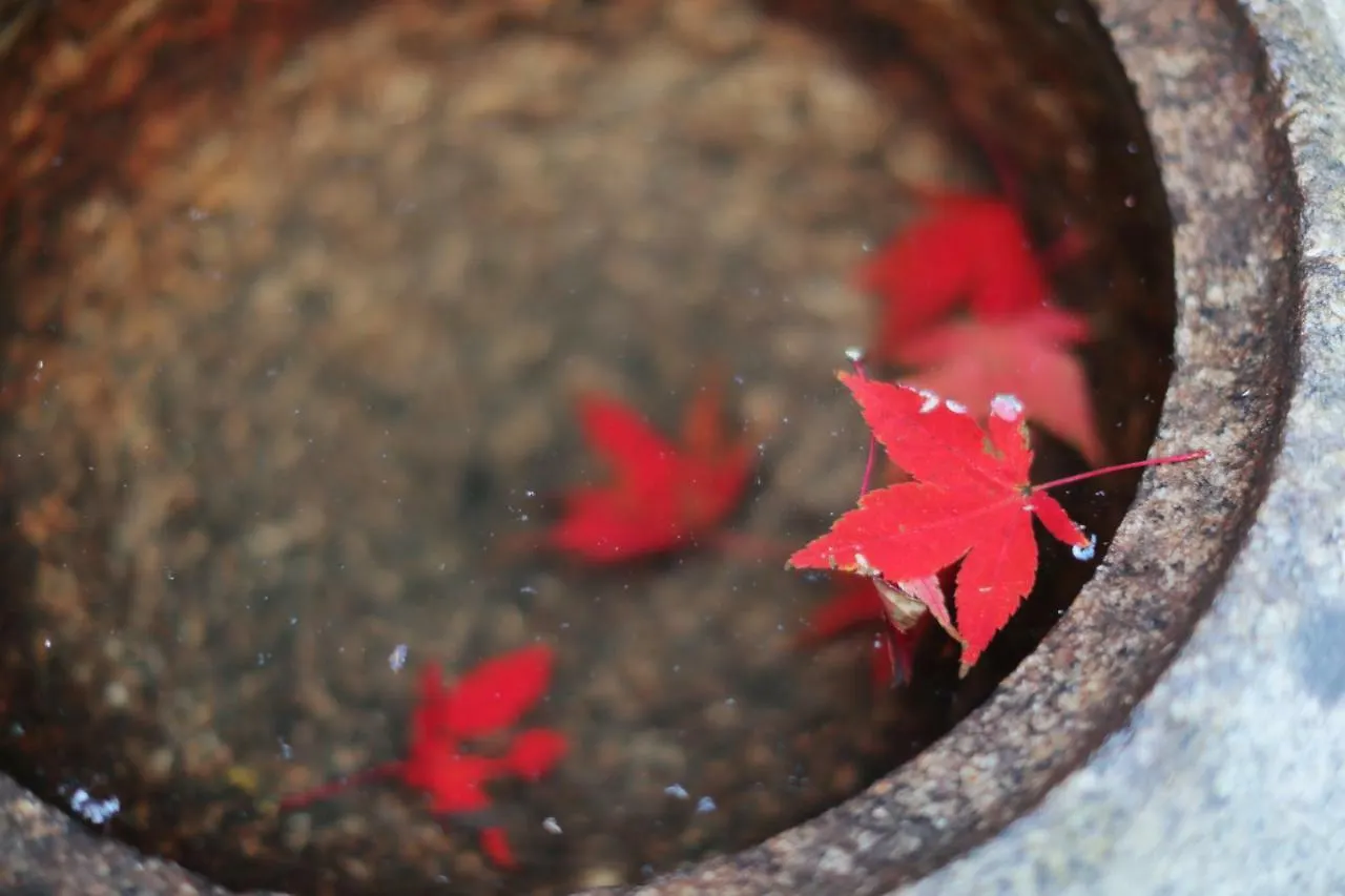 Ryokan Tanoya Quioto